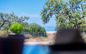 Terra Di Olive Thassos